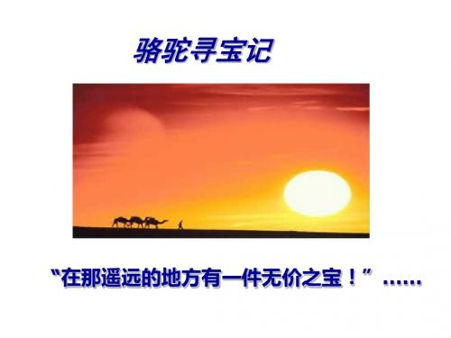 骆驼寻宝记PPT23 语文版