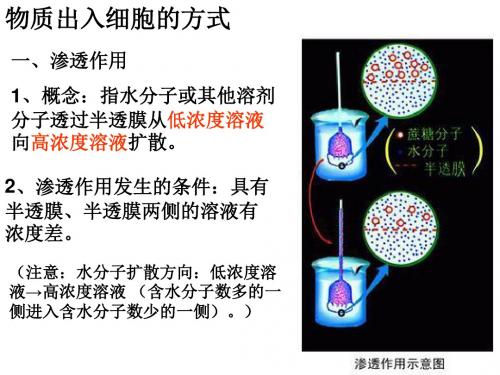 物质出入细胞的方式