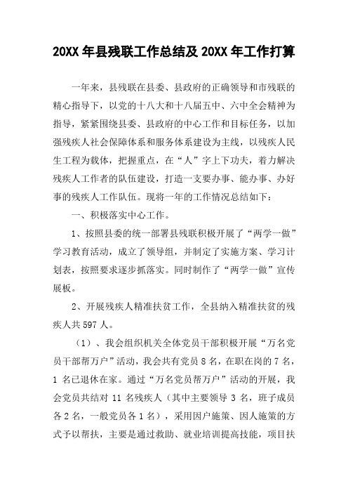 20XX年县残联工作总结及20XX年工作打算