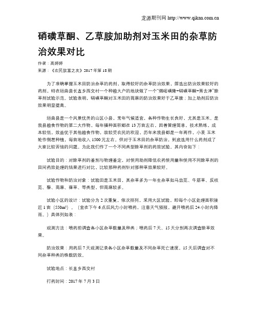 硝磺草酮、乙草胺加助剂对玉米田的杂草防治效果对比