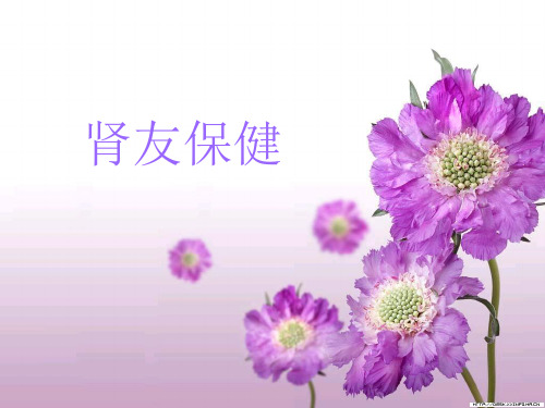 肾友保健(护士长备选)2PPT课件