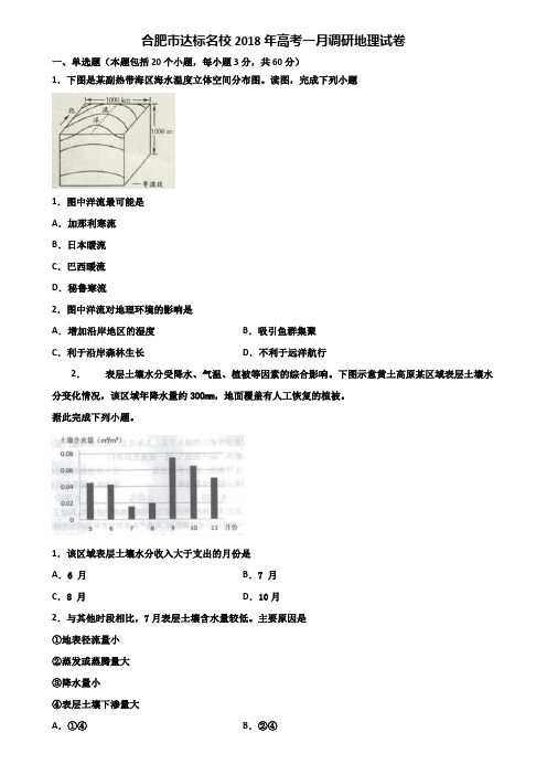 合肥市达标名校2018年高考一月调研地理试卷含解析
