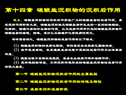 14.第十四章  碳酸盐沉积物的沉积后作用