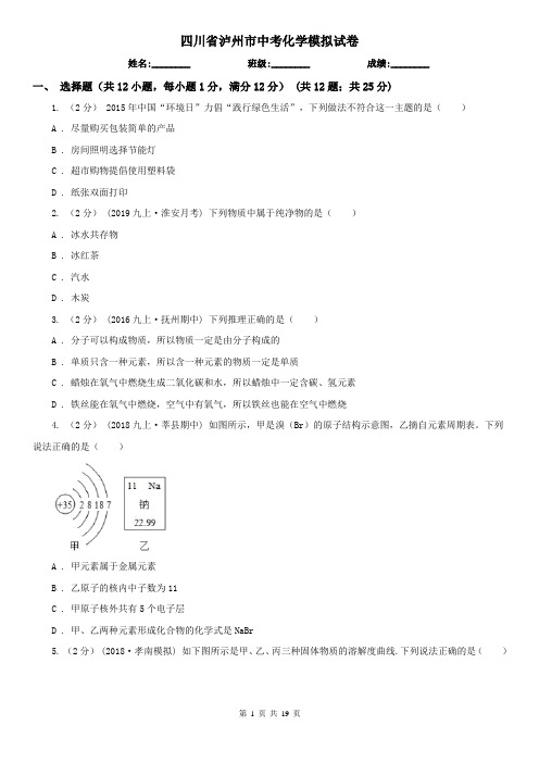 四川省泸州市中考化学模拟试卷