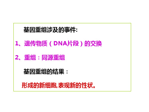 基因转移与重组概述