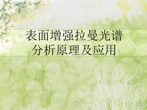 表面增强拉曼光谱分析原理及应用