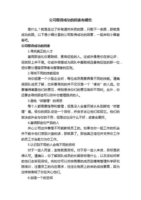 公司取得成功的因素有哪些