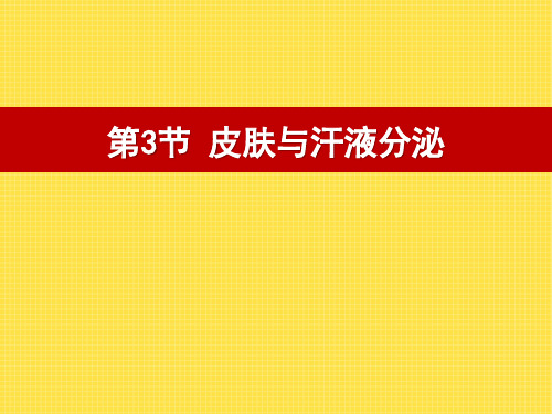 《皮肤与汗液分泌》PPT下载 (共10张PPT)