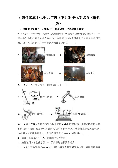 甘肃省武威十七中九年级(下)期中化学试卷(解析版)