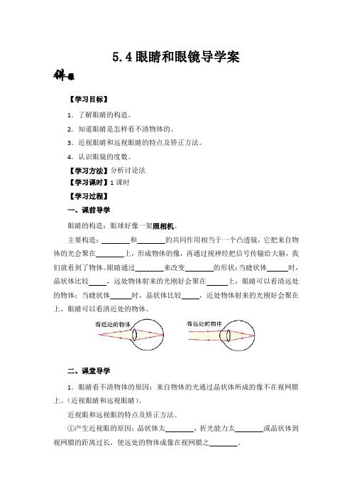 5.4眼睛和眼镜导学案