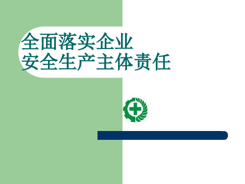 《安全生产台账说明》PPT课件