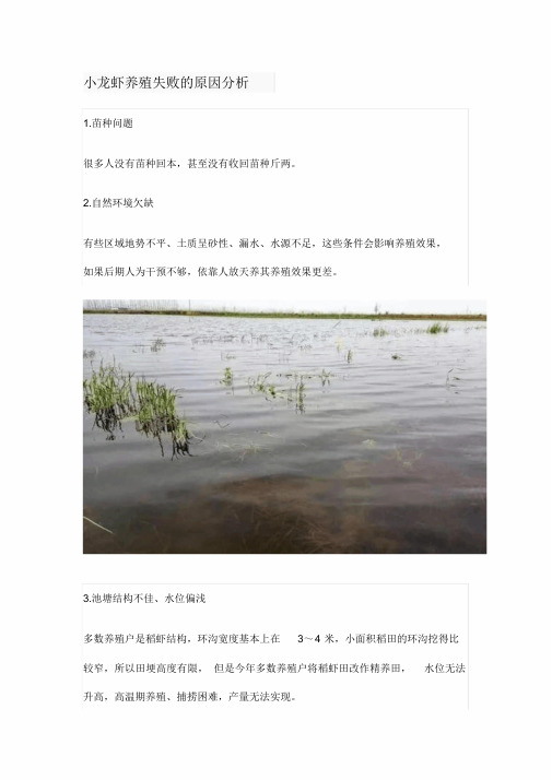 小龙虾养殖失败地原因分析