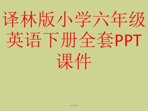 译林版小学六年级英语下册全套PPT课件