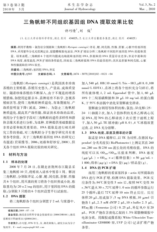 三角帆蚌不同组织基因组DNA提取效果比较
