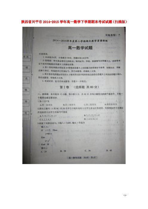 陕西省兴平市高一数学下学期期末考试试题(扫描版)