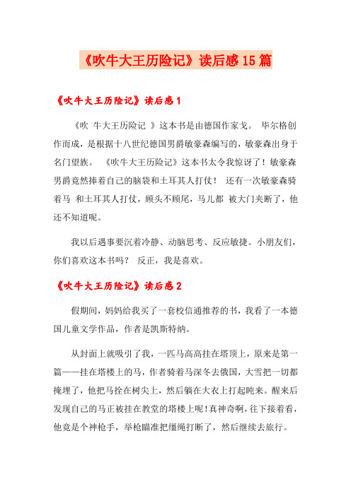《吹牛大王历险记》读后感15篇