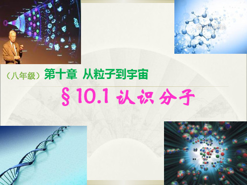 10.1认识分子