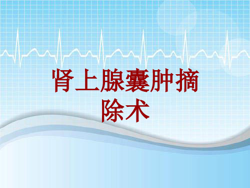 外科手术教学资料：肾上腺囊肿摘除术讲解模板