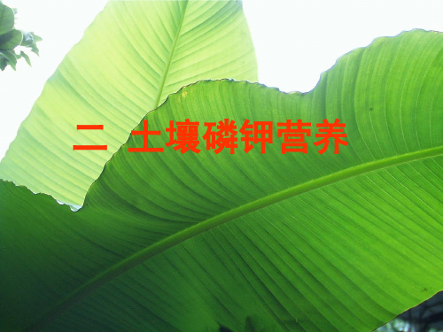 第三章 土壤养分之磷钾.