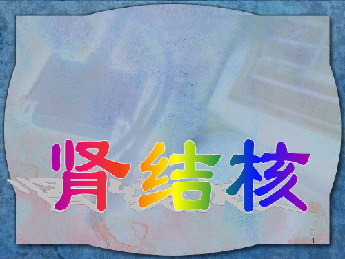肾结核的护理PPT课件