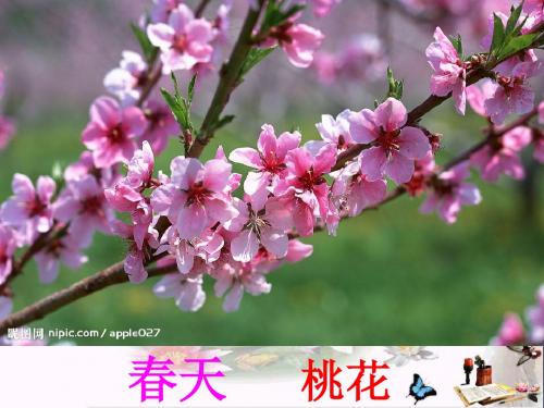 一年级语文上册古诗诵读梅花 PPT精品课件1鄂教版