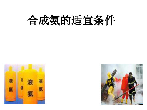 沪科版高中化学高一下册-6.3 化工生产能否做到又快又多-合成氨的适宜条件 课件(共12张PPT)