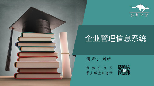 现代企业管理信息系统精讲1PPT