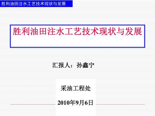 胜利油田注水工艺技术现状与发展