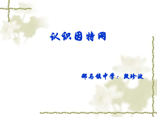 认识因特网