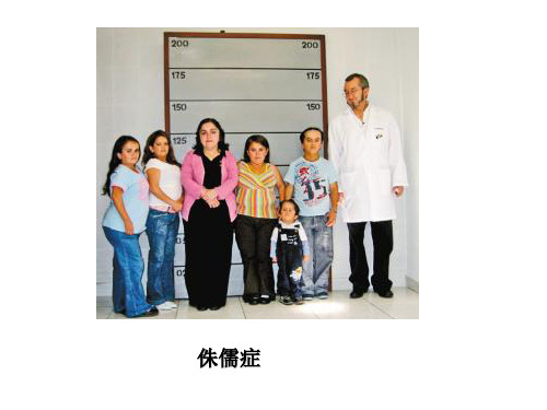 学前卫生学内分泌系统