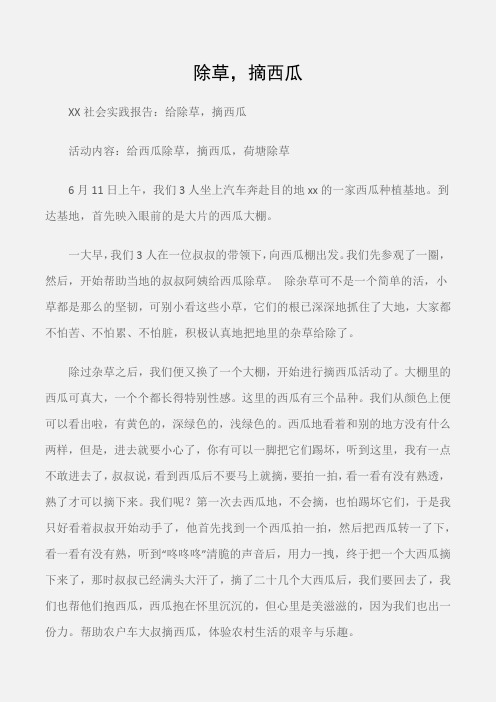 (实践报告)社会实践报告：除草,摘西瓜