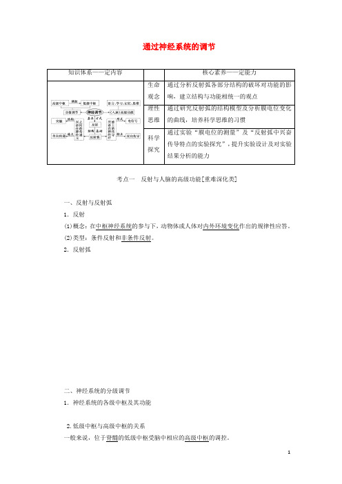 高考生物一轮复习第八单元第二讲通过神经系统的调节讲义含解析