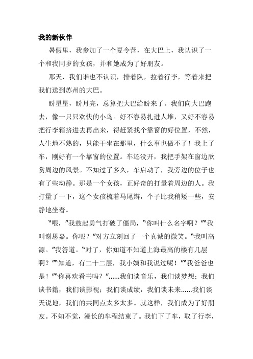 我的新伙伴作文600字