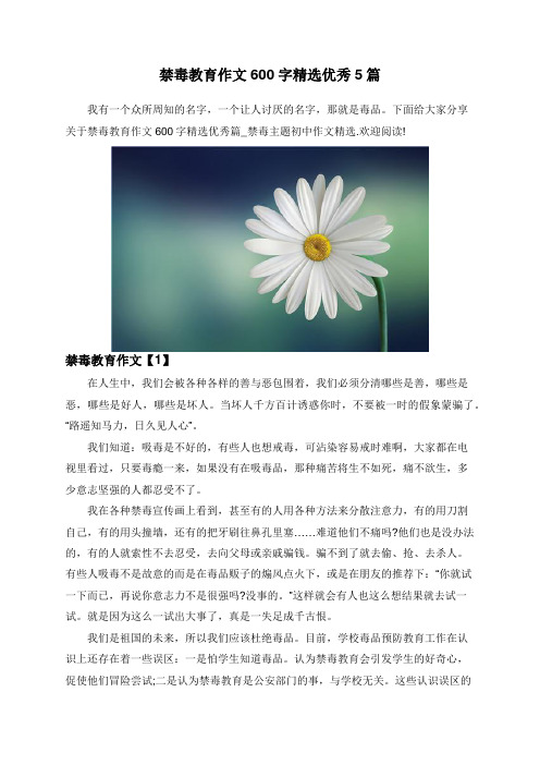 禁毒教育作文600字精选优秀5篇