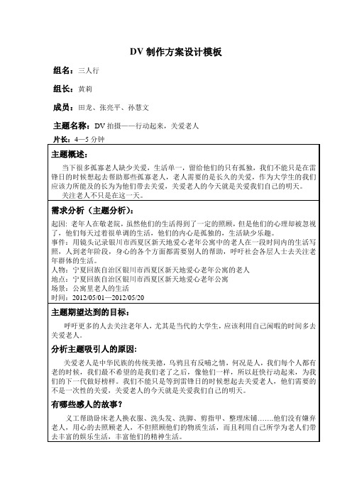DV制作方案设计模板