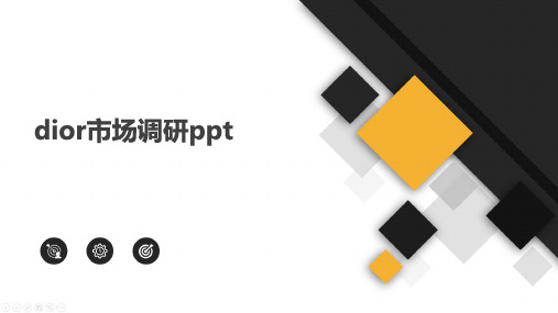 dior市场调研ppt