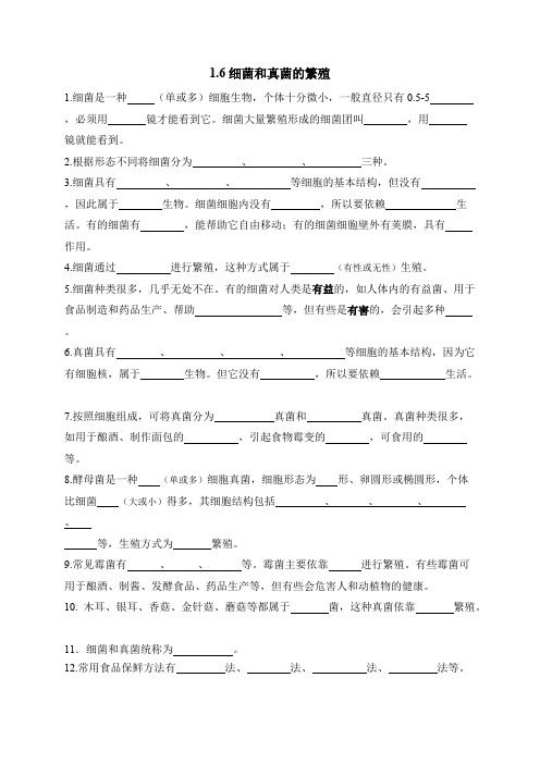 1.6细菌和真菌的繁殖(知识点整理)(最新整理)