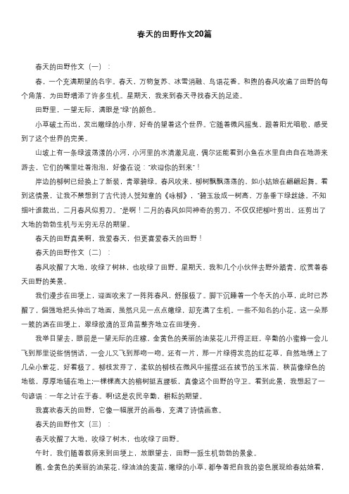 春天的田野作文20篇