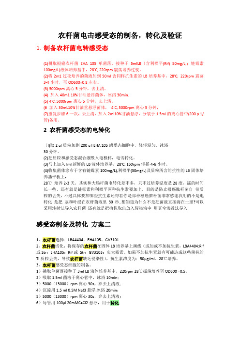农杆菌电击感受态的制备_转化及验证