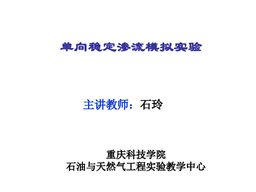 渗流力学试验