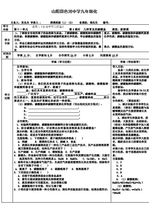 陕西省山阳县色河中学化学人教版九年级下册：化学导学案11-1.2