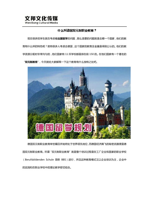 什么叫德国双元制？