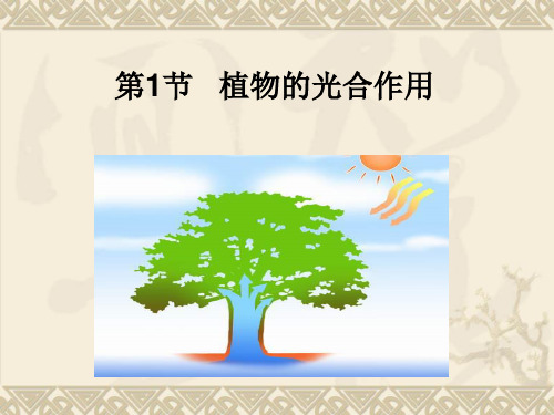 苏科版初一生物上册教案《4.1 植物的光合作用》