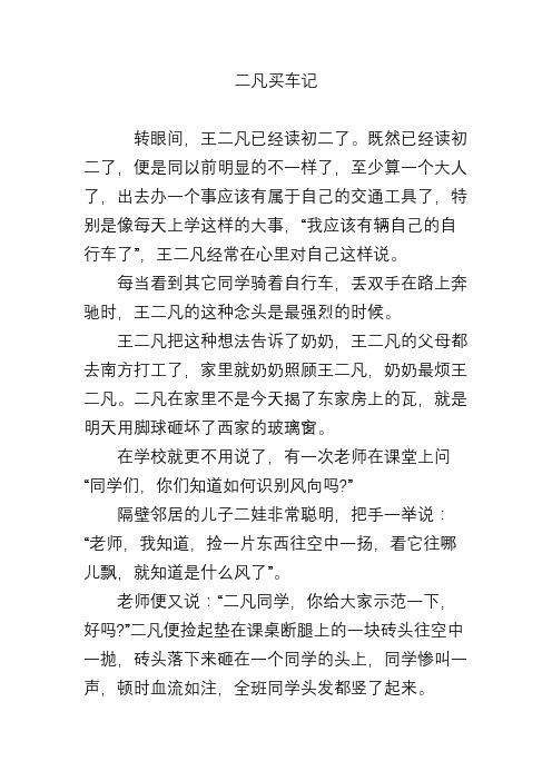 二凡买车记