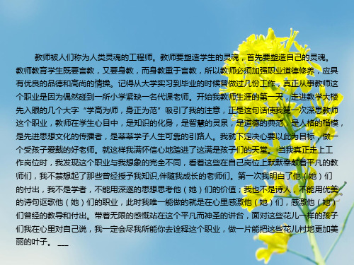 情系国培简报PPT课件