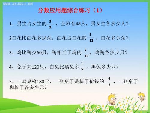 分数应用题的综合练习