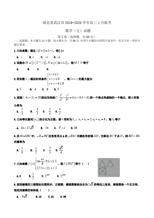 湖北省武汉市2019-2020学年高三1月联考   数学(文)试题Word版含答案