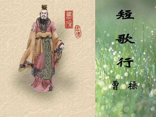 最新《短歌行》精品课件