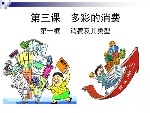 人教版必修一 3.1 消费及其类型 课件(共26张PPT)