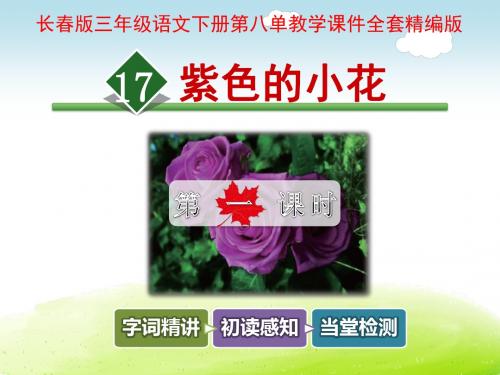 长春版三年级语文下册第八单元教学课件全套
